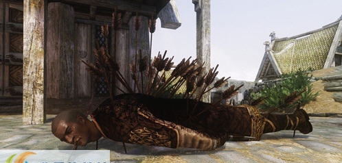 上古卷轴5天际更多的箭MOD v2.6