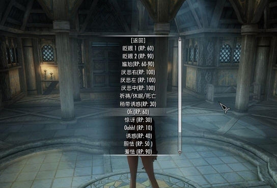 上古卷轴5天际面部表情控制MOD v2.6