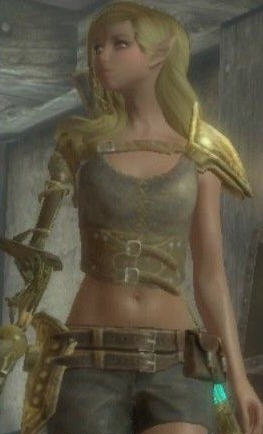 上古卷轴5独臂妹子独立随从MOD v2.5