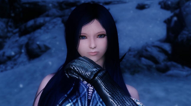 上古卷轴5天际独立种族随从冰曛MOD v2.6