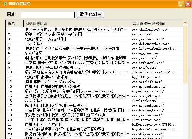 网络排名专家 v6.22