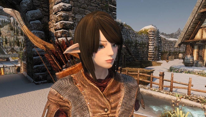 上古卷轴5天际盾战初始美女随从MOD v2.4