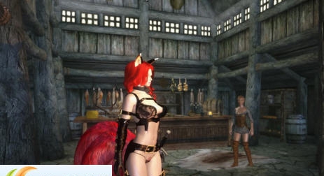 上古卷轴5物理尾巴耳朵MOD v2.5