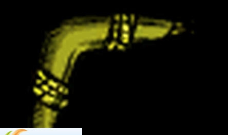 饥荒联机版黄金回旋镖MOD v2.5