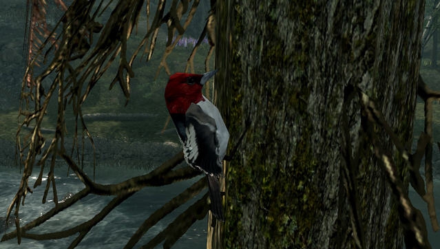 上古卷轴5天际重制版天空之鸟MOD v2.5