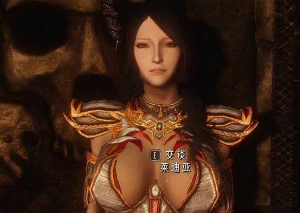 上古卷轴5天际重制版新莱迪亚美化MOD v2.6