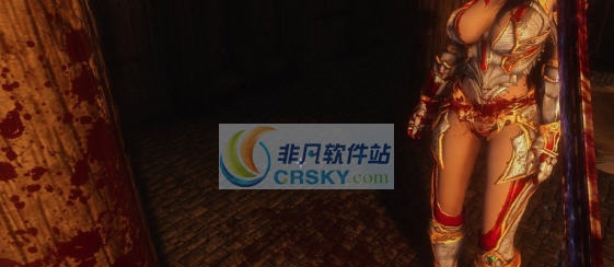 上古卷轴5天际重制版血液材质MOD v2.6