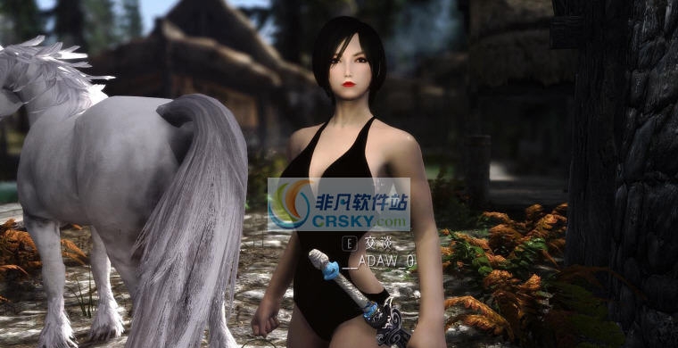 上古卷轴5天际重制版艾达王MOD v2.5