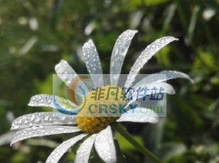 饥荒字符样品MOD v2.5