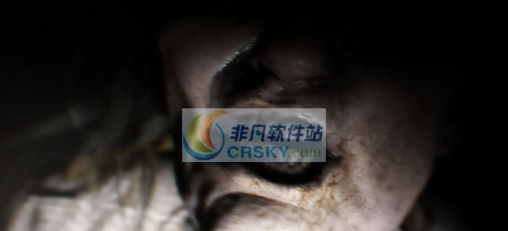 生化危机7全收集全解锁存档 v2.6