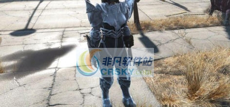 辐射4多彩乌木铠甲MOD v2.5