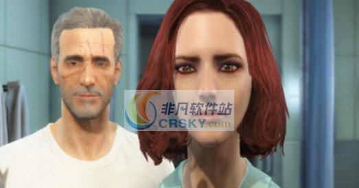 辐射4气质美女MOD v2.5