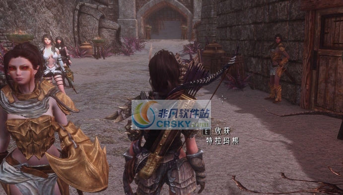 上古卷轴5天际重制版三个女卫兵MOD v2.4