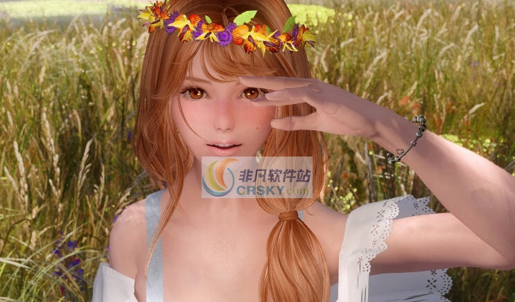 上古卷轴5天际尔赛丽雅MOD v2.5