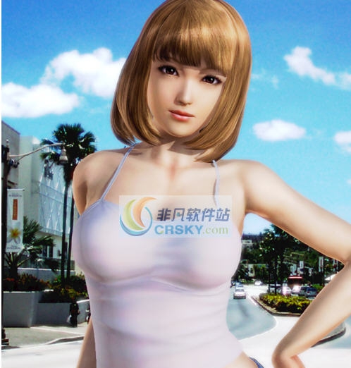 Honey Select真实系女友彩捏人存档 v2.5