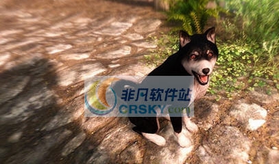 上古卷轴5动物随从MOD v2.4