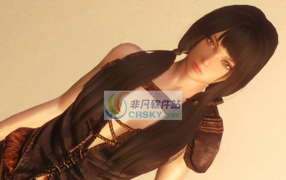 上古卷轴5绁布莱顿巫师随从MOD v2.7