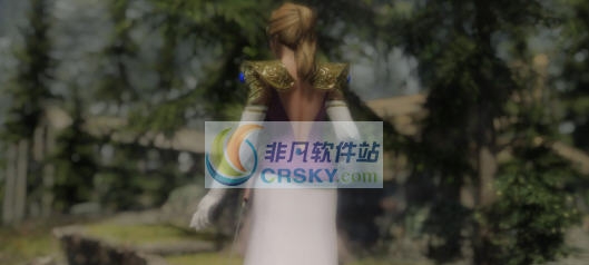 上古卷轴5塞尔达公主裙甲MOD v2.6