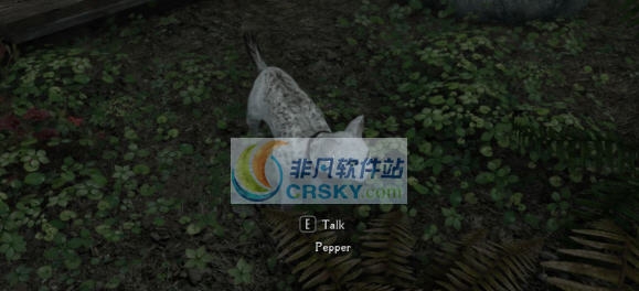 上古卷轴5天际重置版野猫MOD v2.4