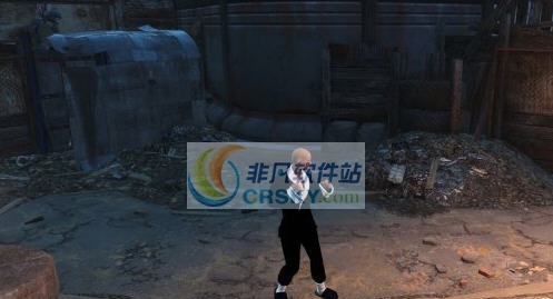 辐射4功夫大师MOD v2.4