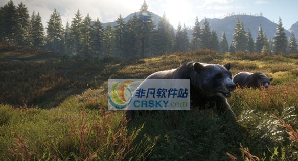 猎人野性的呼唤十二项修改器 v3.5