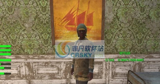 辐射4你的名字MOD v2.6