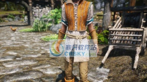 上古卷轴5巫师3希里护甲MOD v2.6