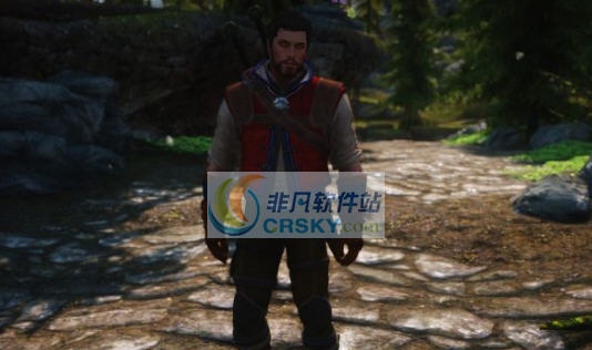 上古卷轴5天际巫师3狼套装MOD v2.6