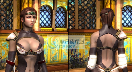 上古卷轴5性感皮制轻甲MOD v2.6