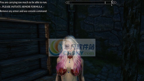 上古卷轴5天际重制版吸血鬼钢链比基尼胸甲MOD v2.6