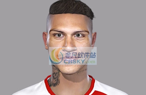 实况足球2018秘鲁当家前锋何塞保罗格雷罗面部补丁 v2.5