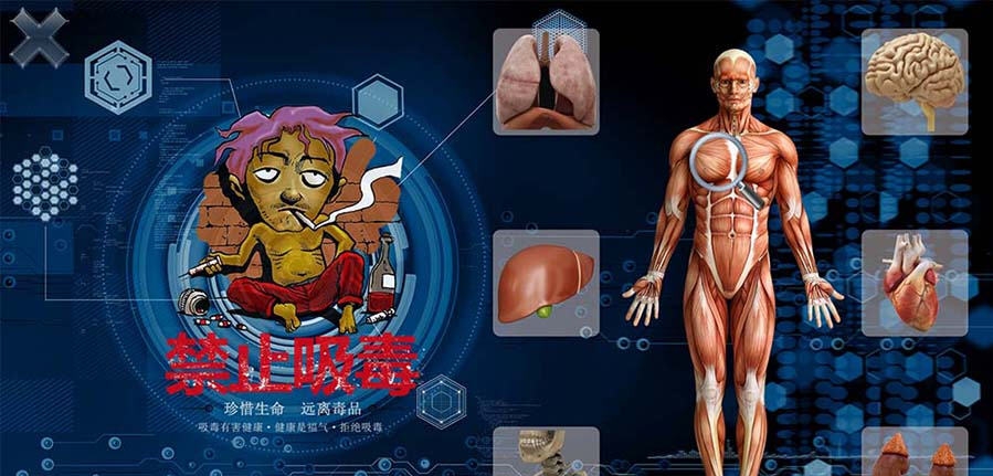 吸毒对人体的危害展示系统 v2.11