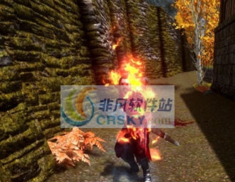 上古卷轴5吸血鬼日光伤害MOD v2.7