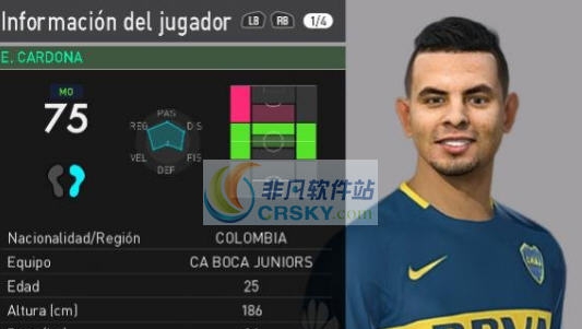 实况足球2018博卡中场卡尔多纳面部补丁 v2.5
