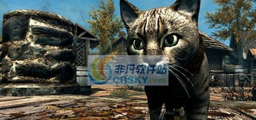 上古卷轴5天际喵星人家猫狸花宠物生物MOD v2.6