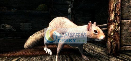 上古卷轴5天际松鼠生物MOD v2.5