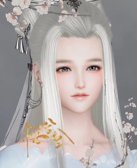 剑网3重制版成女和叶捏脸数据 v2.5