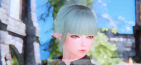 上古卷轴5冰霜冲击精灵女埃莉诺随从MOD v2.5