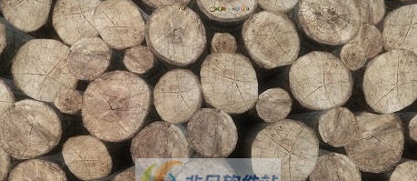 天国拯救高清原木木制品MOD v2.4