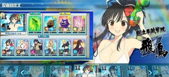 闪乱神乐沙滩戏水去比基尼果体补丁 v2.11