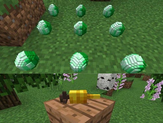 我的世界3D物品放置MOD v1.11.2-1.12.10