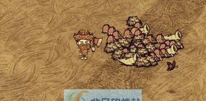 饥荒变态100倍伤害狗牙陷阱mod v2.6