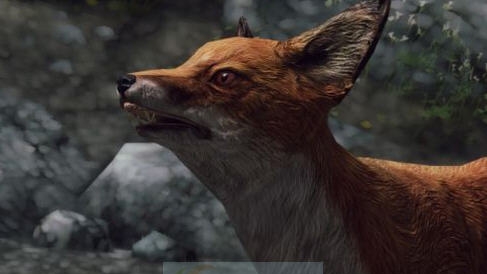 上古卷轴5天际瓦伦伍德之狐Lirimaer随从MOD v2.4