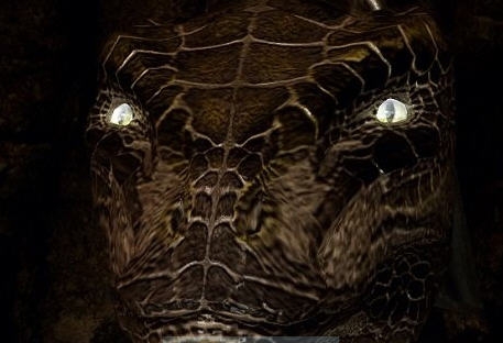 上古卷轴5天际终极眼网包MOD v2.3