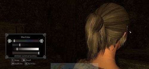 上古卷轴5天际马尾辫发型上色MOD v2.4