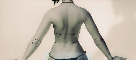 上古卷轴5天际皮肤装饰球状关节娃娃MOD v2.5