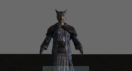 上古卷轴5天际虎人的配偶阿扎瓦里MOD v2.6