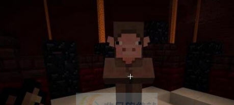 我的世界1.11.2表演者MOD v2.5