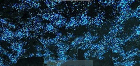 上古卷轴5天际可选的影响发光MOD v2.6