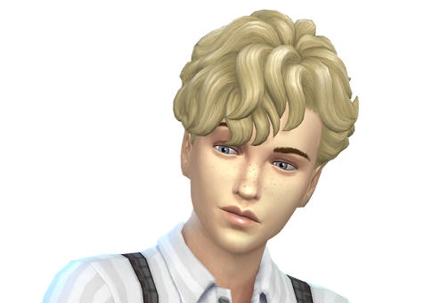 模拟人生4沃利斯伯恩哈德MOD v2.5